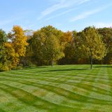 Lawn Care Application