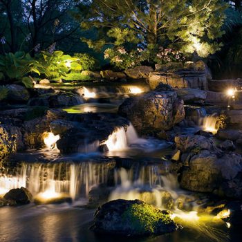 Landscape Lighting