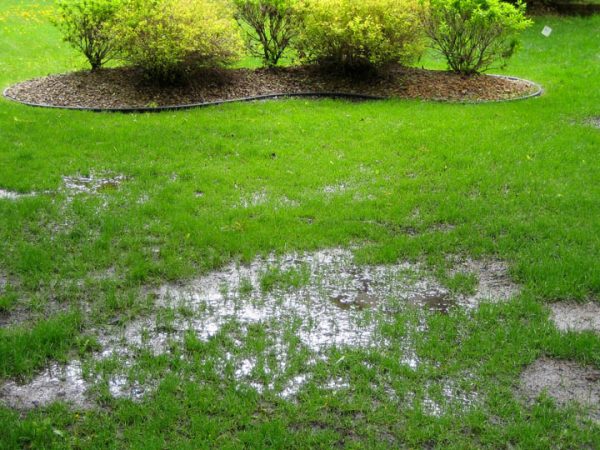 above ground pool on leach field